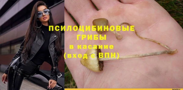 твердый Кинешма