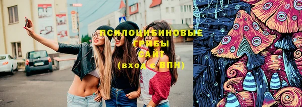 крисы Карпинск