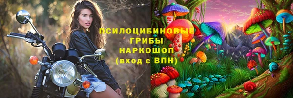 крисы Карпинск