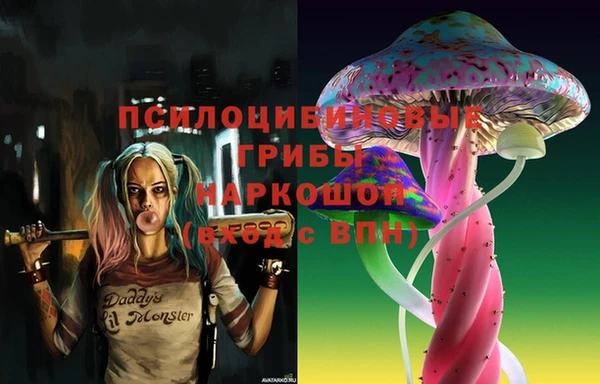 крисы Карпинск