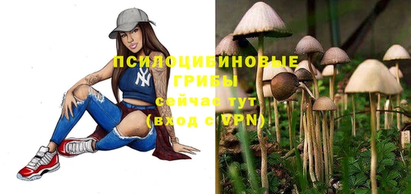 твердый Кинешма