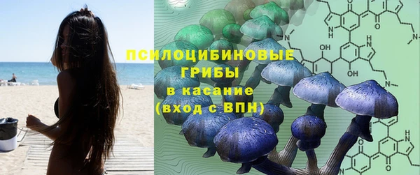 метадон Касимов