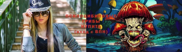 крисы Карпинск