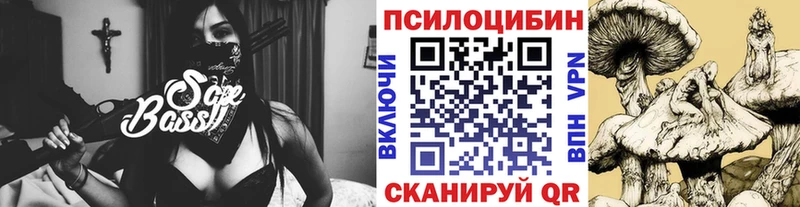 как найти   Кола  darknet состав  Галлюциногенные грибы прущие грибы 